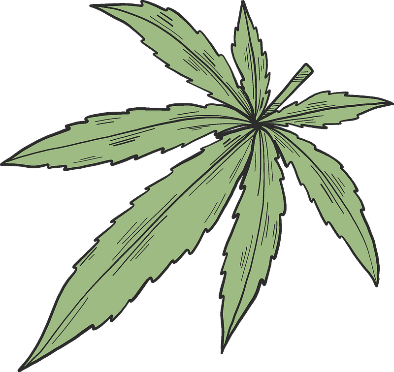 Marijuana Clipart - Illustration - Png Download (800x756), Png Download