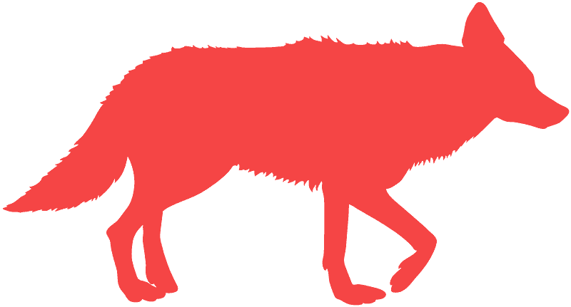 Vector Coyote Silhouette Clipart (800x431), Png Download