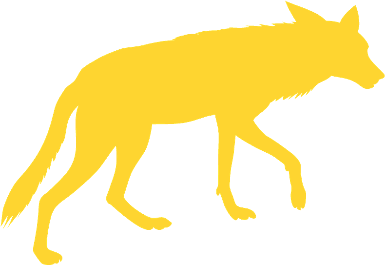 Dog Clipart (800x566), Png Download