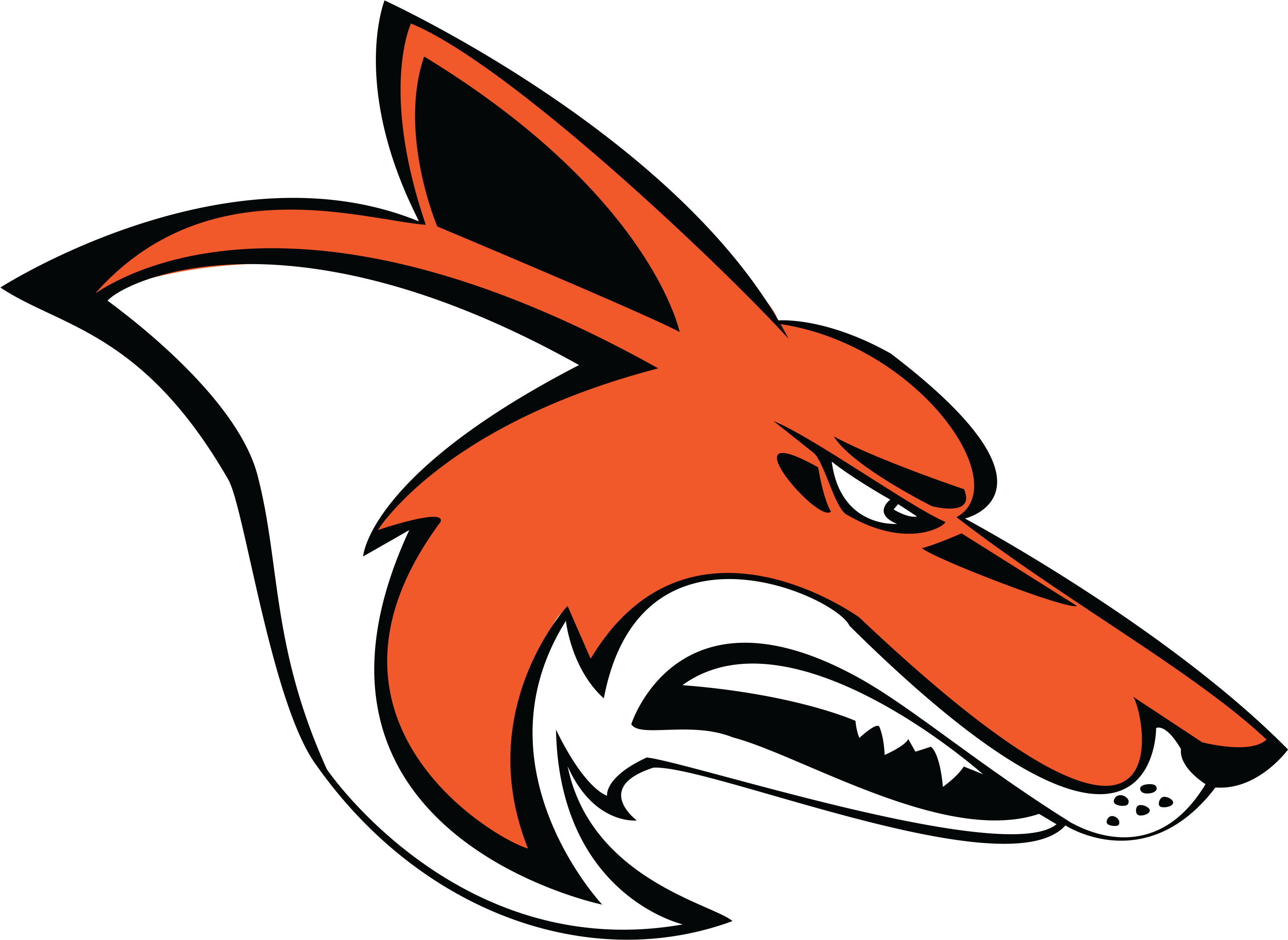 Orange And Black Coyote Head - Coyotes Williston High School Clipart (3117x2355), Png Download