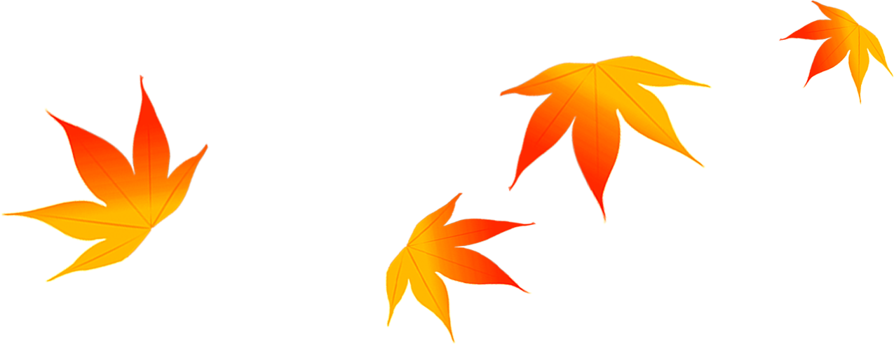 Maple Leaf Autumn - Folhas De Outono Caindo Desenho Clipart (1275x491), Png Download