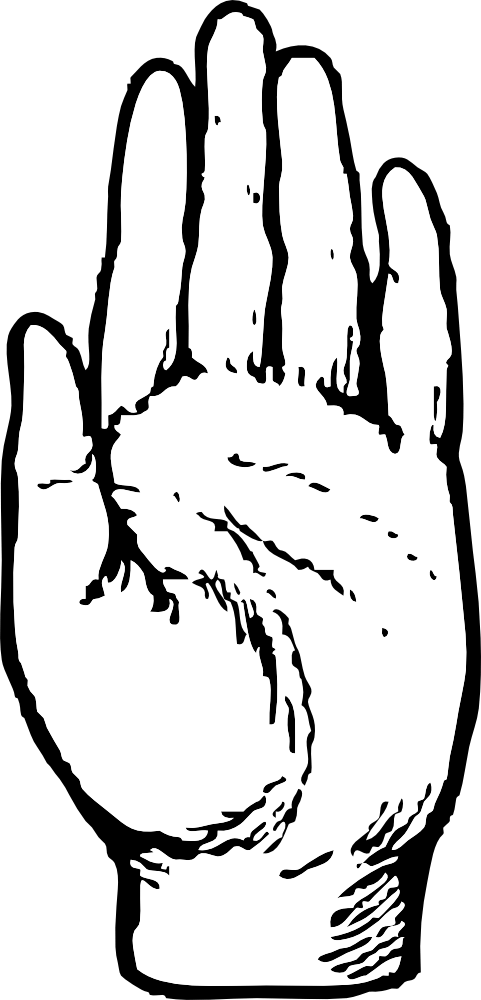 Hand Print Clipart - Left Hand Clipart Black And White - Png Download (481x1000), Png Download