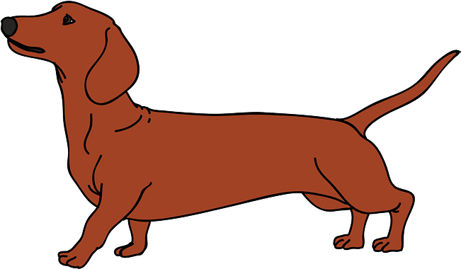Puppy Vector Png Dachshund Vector Clipart Full Size Clipart 5458190 Pinclipart