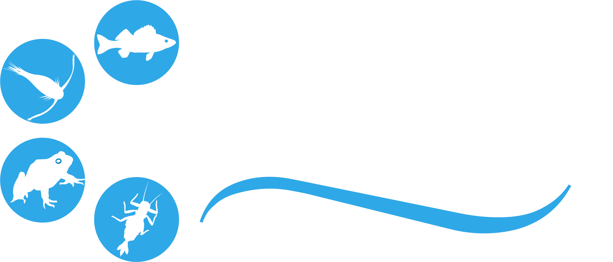 Go To Great Lakes Water Life Home Page - Water Is Life Banner Clipart (2021x864), Png Download