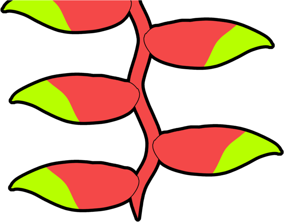 Heliconia Rostrata / Clipart (961x752), Png Download