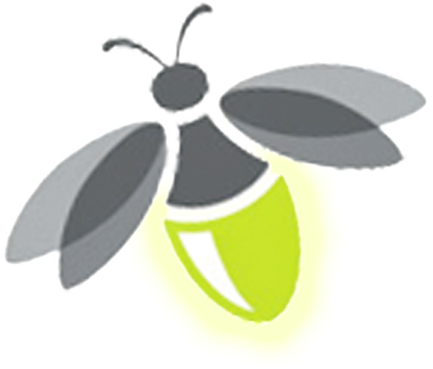 Transparent Images Pluspng - Transparent Background Firefly Clipart (655x655), Png Download