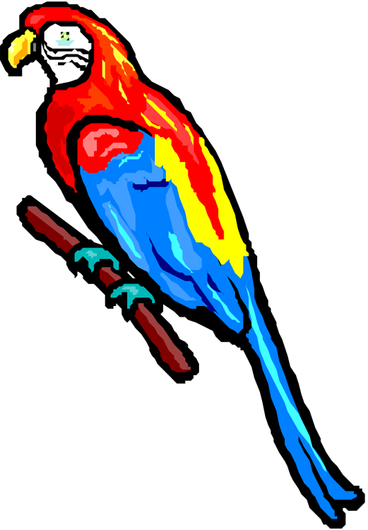 Jimmy Buffett Parrot Clipart (521x750), Png Download