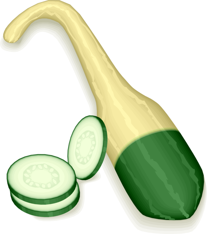Transparent Zucchini Clipart - Squash - Png Download (661x749), Png Download