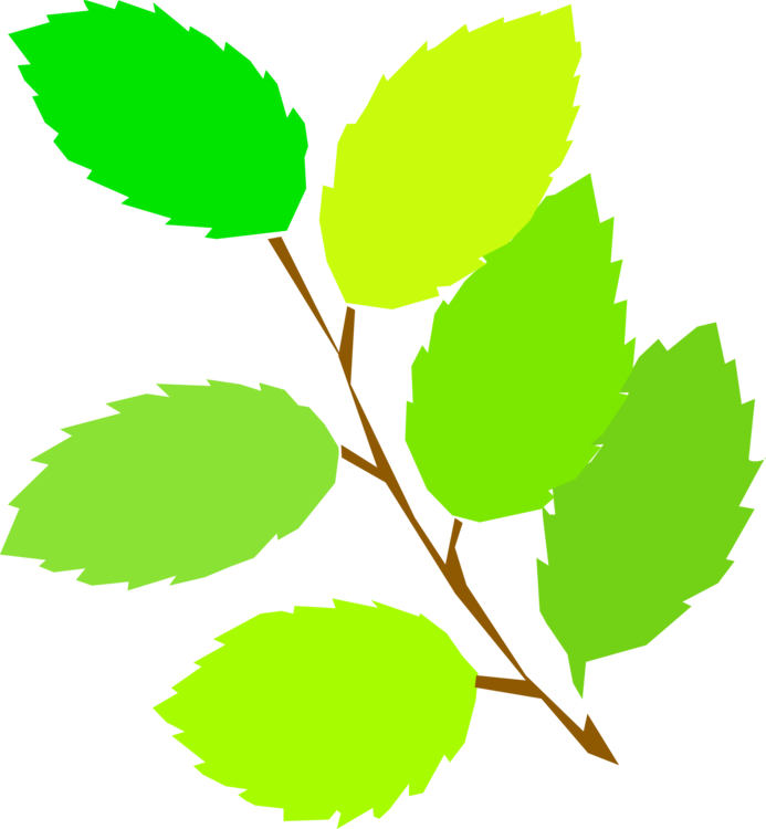 Plant,leaf,tree - Spring Clip Art - Png Download (693x750), Png Download