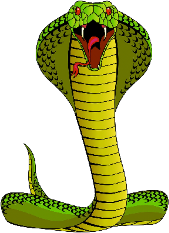 Library Of Banner Black And White Cobra Snake Png Files - Scary Snake Clipart Transparent Png (589x811), Png Download