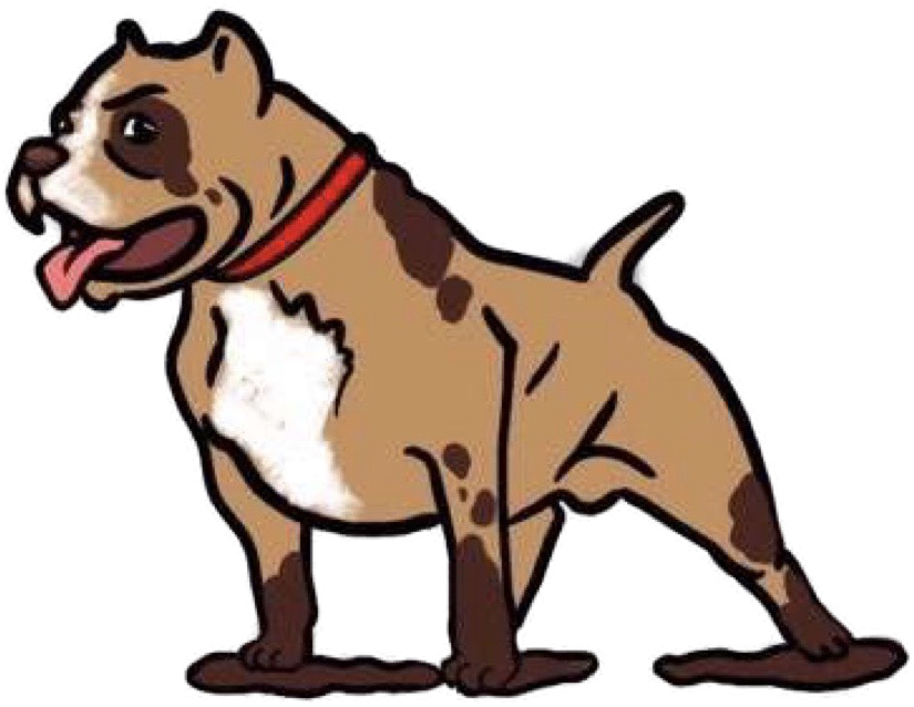 Clip Art - Png Download (915x732), Png Download