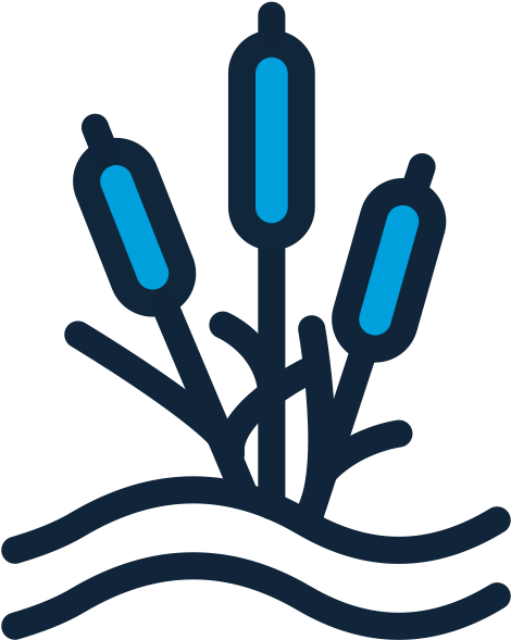Wetland Icon Clipart (625x625), Png Download
