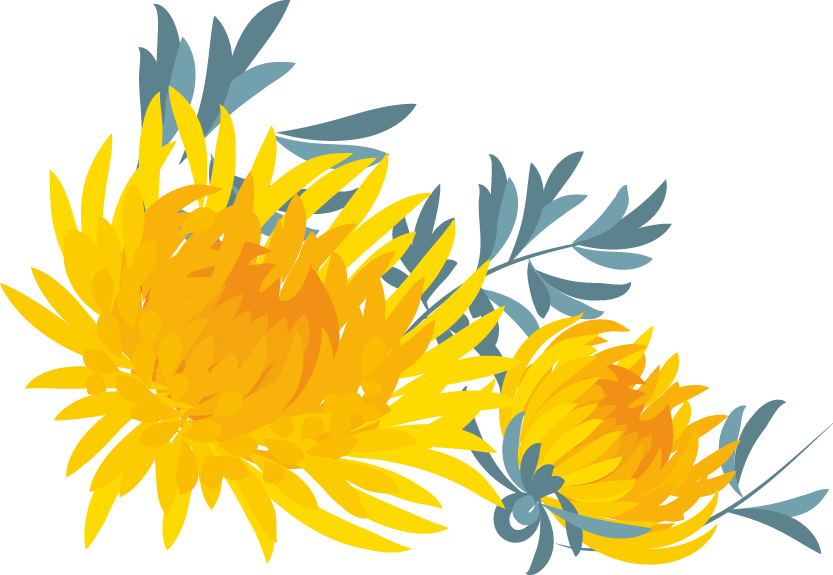 Sunflower Clipart (833x575), Png Download