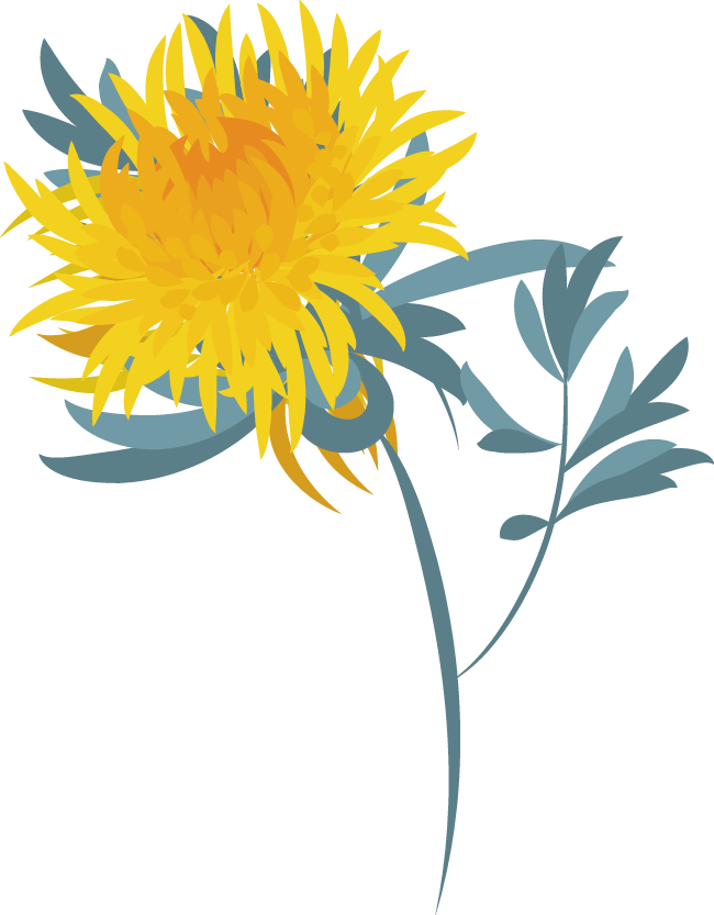 Sunflower Clipart (650x833), Png Download