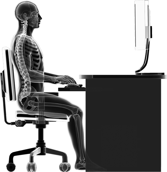 Transparent Person Sitting Back Png - Skeleton Of Person Sitting In Chair Clipart (568x584), Png Download