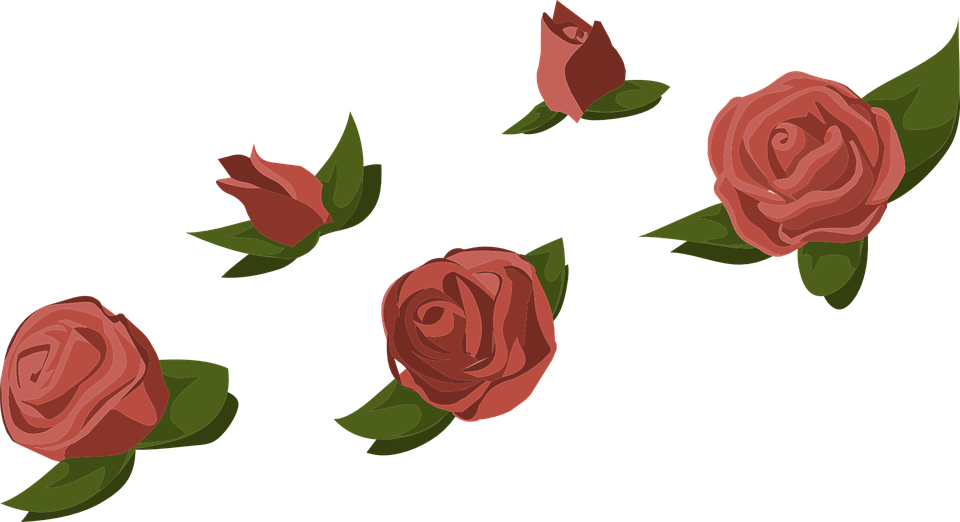 Red Rose Cartoon 16, - Flower Buds Transparent Clipart (960x522), Png Download