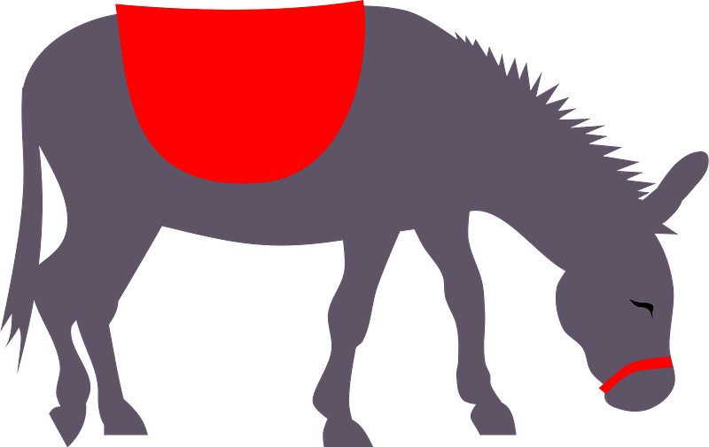 Donkey With Red Saddle Clipart - Donkey Clipart - Png Download (800x505), Png Download
