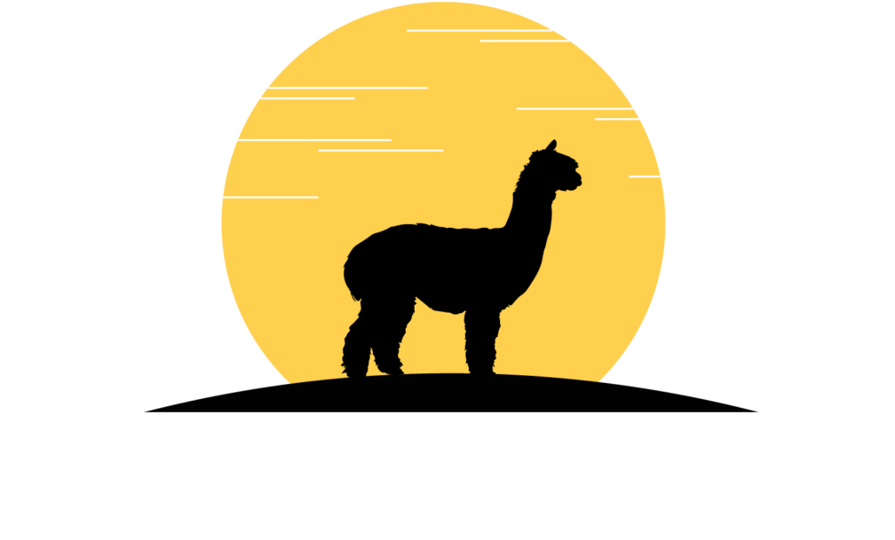 Belle Vue Farm Llc - Camel Clipart (1024x636), Png Download