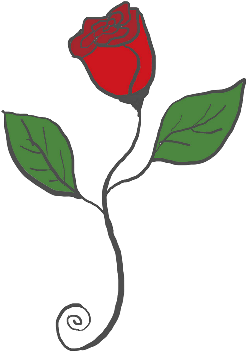 Hybrid Tea Rose Clipart (902x1280), Png Download