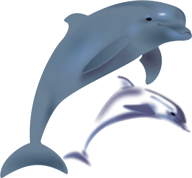 Transparent Stingray Clipart - Free Clipart Dolphin - Png Download (788x730), Png Download