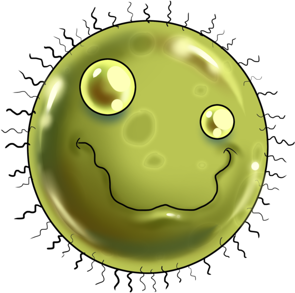 Circle Clipart (639x670), Png Download