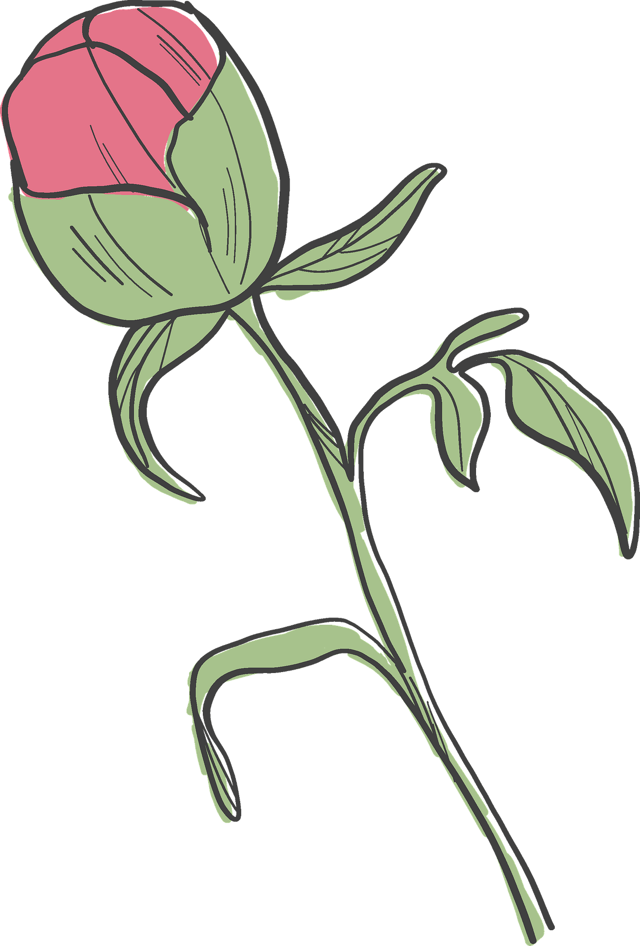 Illustration Clipart (1300x1920), Png Download