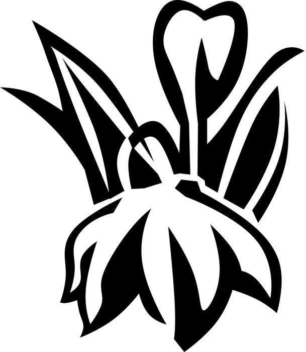 Vector Illustration Of Blue Eyed Grass Satin Flower - Emblem Clipart (609x700), Png Download