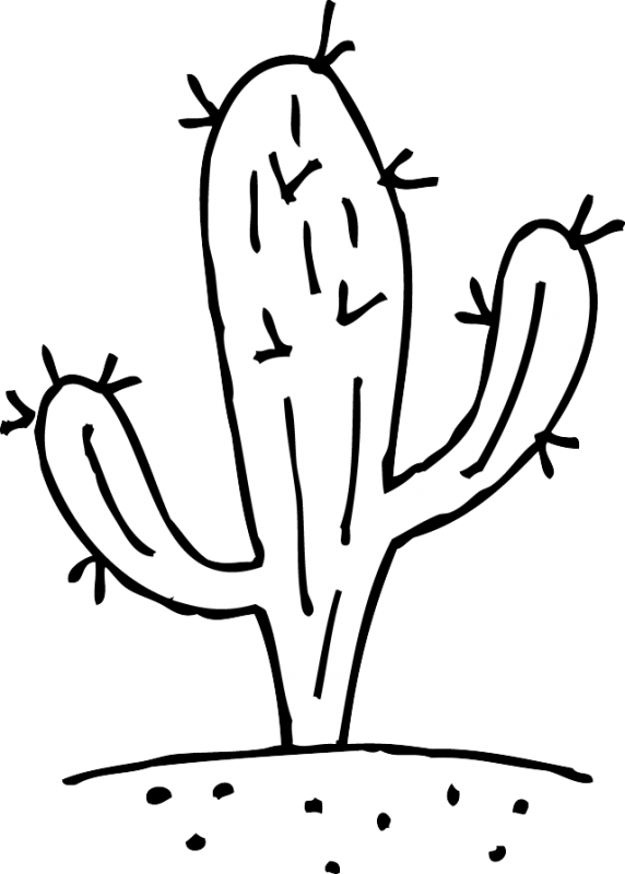 Collection Of Free Box Drawing Plant Download On Ui - Cactus Black And White Clipart - Png Download (572x800), Png Download