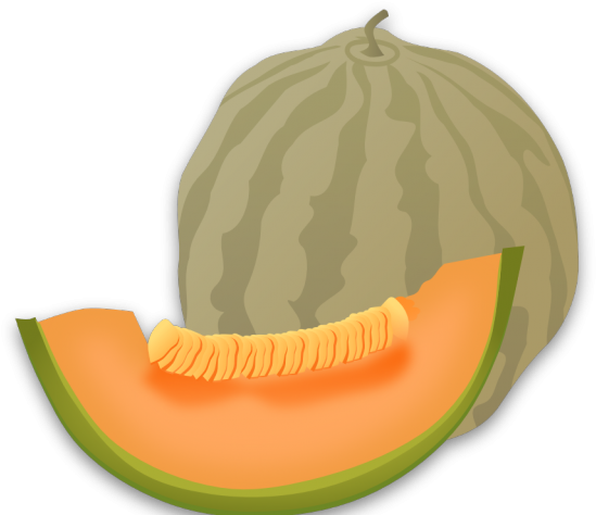 Melon Clipart - Png Download (640x480), Png Download