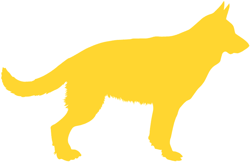 Cat Clipart (800x520), Png Download