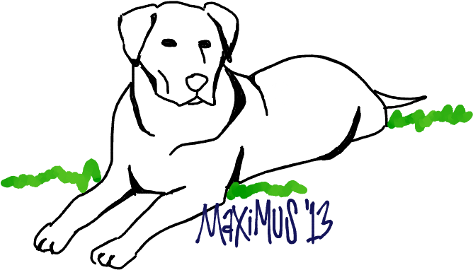 Collection Of Free Labrador Drawing Doodle Download - Sketch Clipart (880x484), Png Download