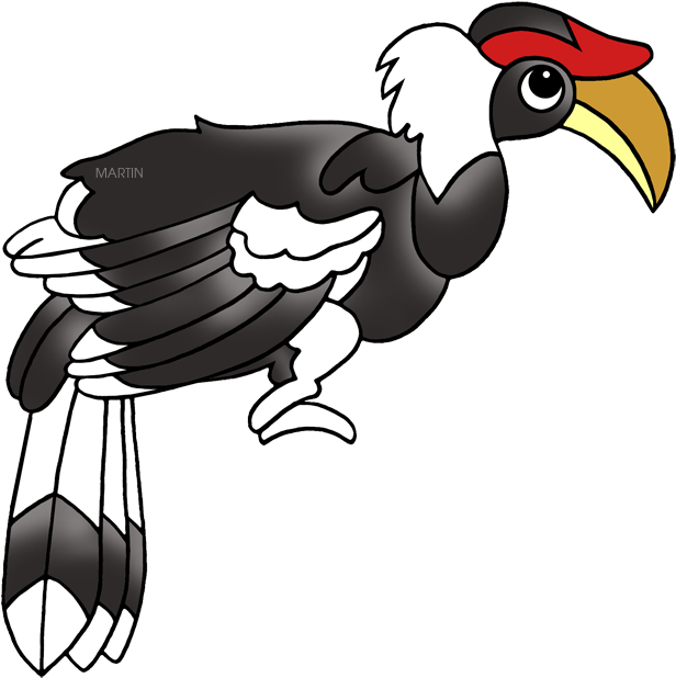 Malaysia Hornbill - Malaysia Hornbill Png Clipart (648x631), Png Download