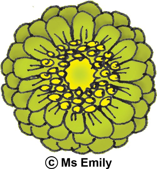 Clip Art - Png Download (606x600), Png Download