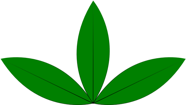 A Green Sprout - 3 Leaves Clip Art - Png Download (600x600), Png Download