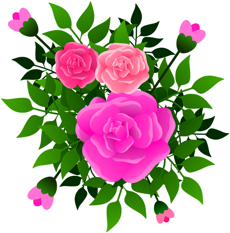 Pink,flower,prickly Rose - Hybrid Tea Rose Clipart (750x750), Png Download