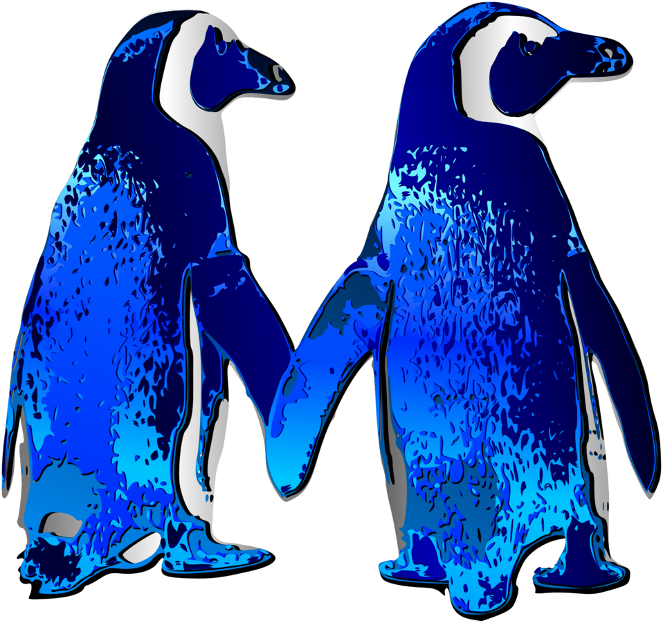 Penguin Clip Art Couple - Png Download (958x900), Png Download