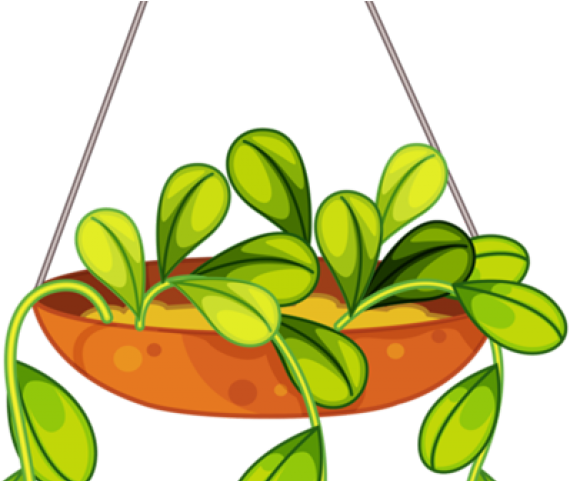 Hanging Flower Basket Drawing Clipart (640x480), Png Download