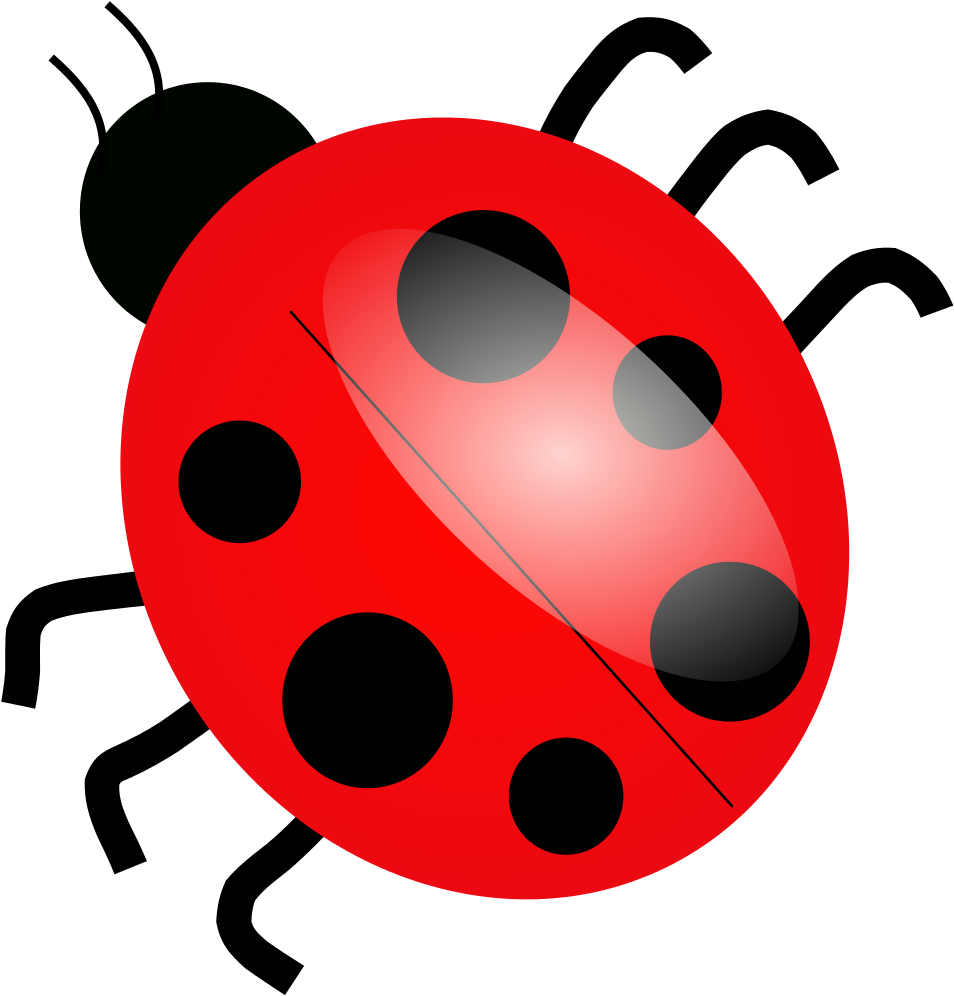 Cartoon Picture Of Ladybird Clipart (1200x1200), Png Download