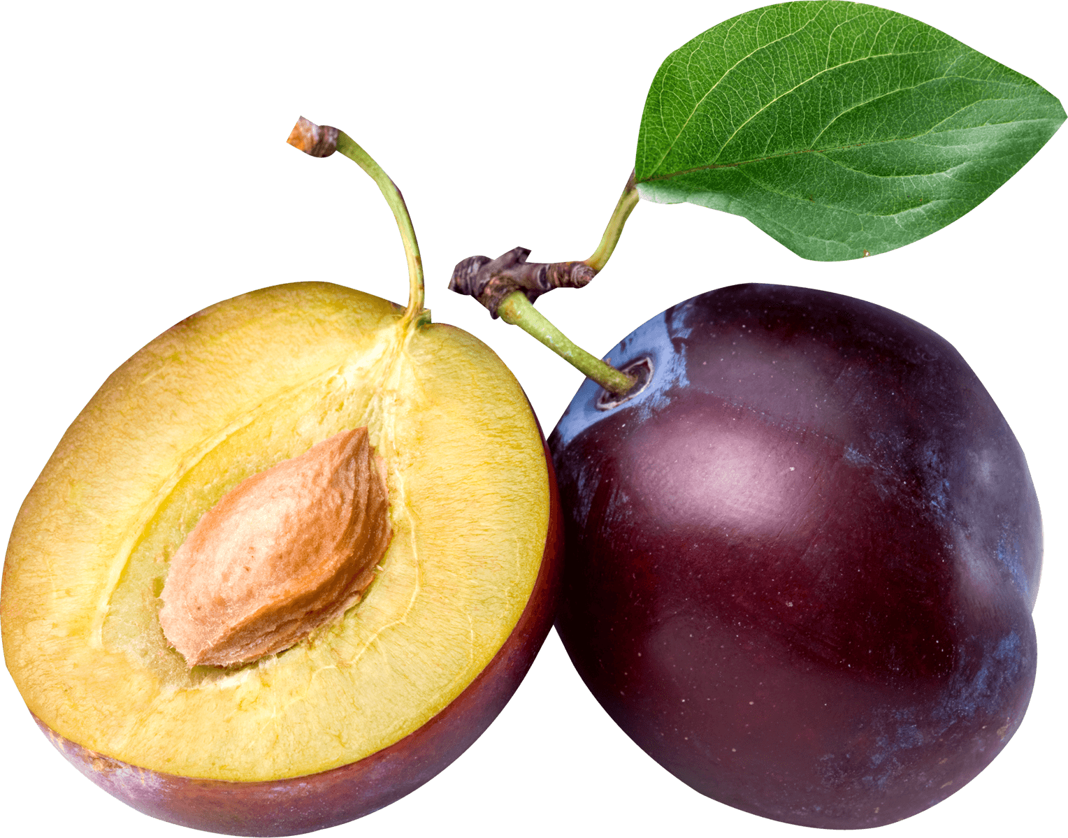 Fruits Transparent Plum Plum Png Clipart Full Size Clipart