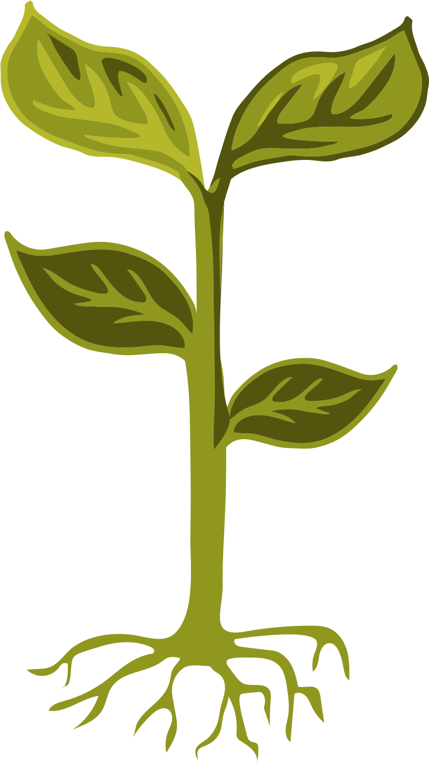 Clip Art - Png Download (1078x1719), Png Download