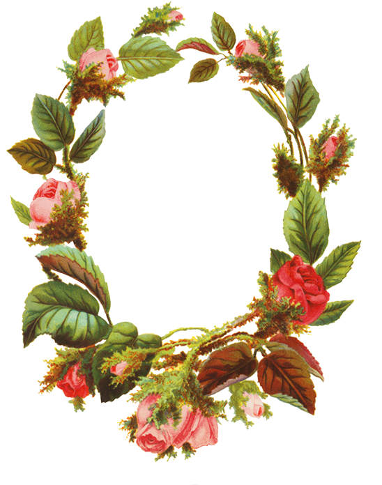 Round Floral Frame Png Images - Picture Frame Clipart (565x709), Png Download