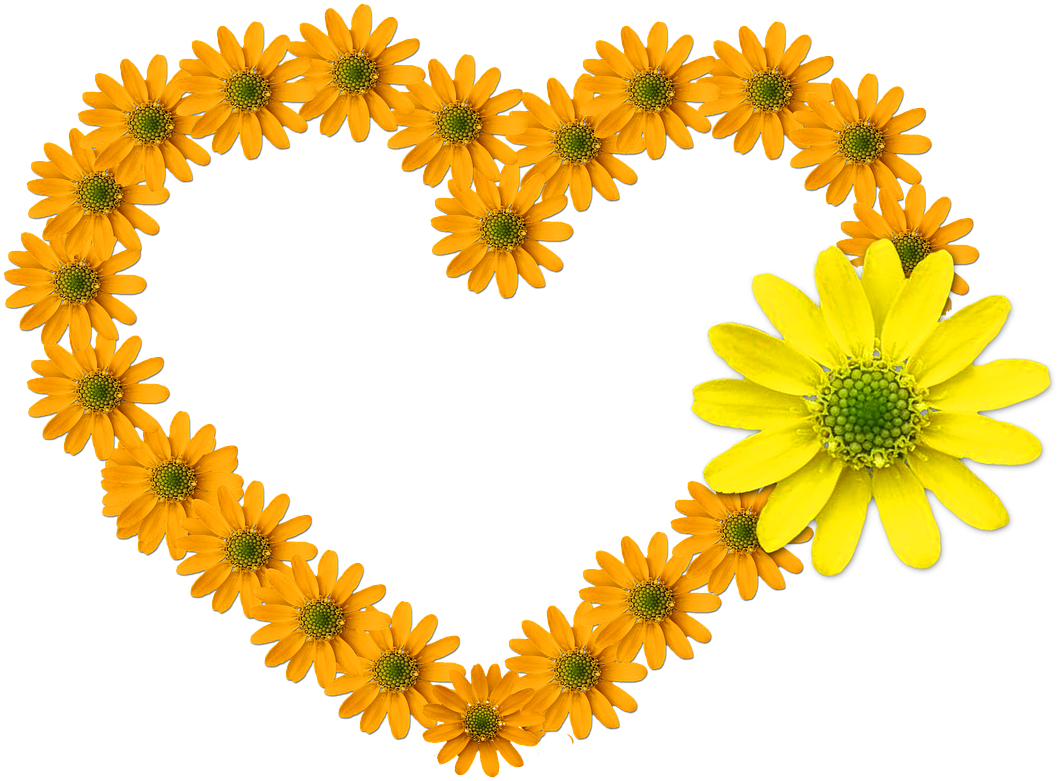 Heart Flower Heart Bloom Feelings Flowers - Good Morning My Love Yellow Clipart (1061x781), Png Download
