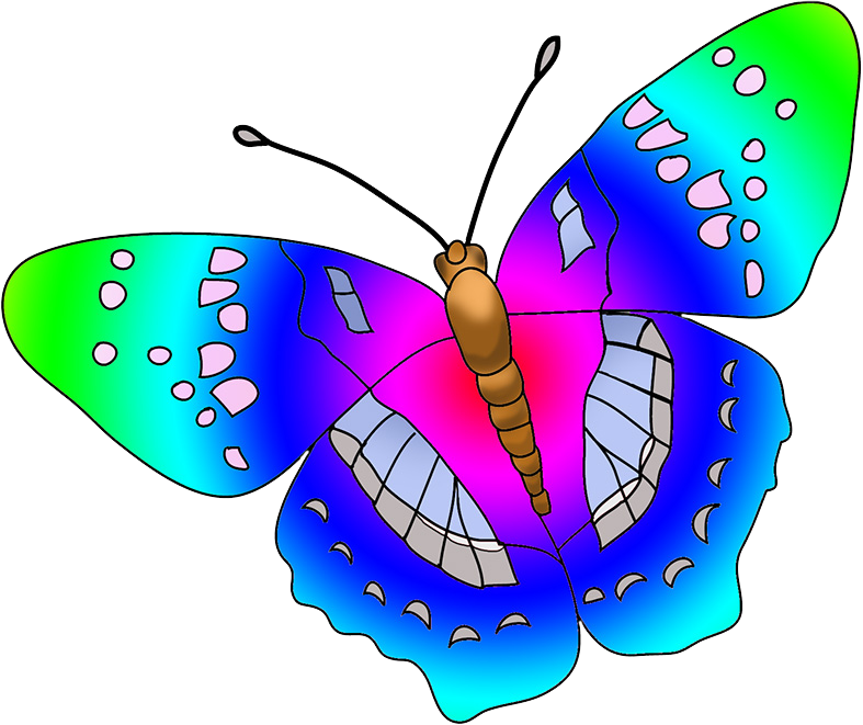Butterfly Multicolored Clipart - Clipart Pictures Of A Butterfly - Png Download (787x661), Png Download