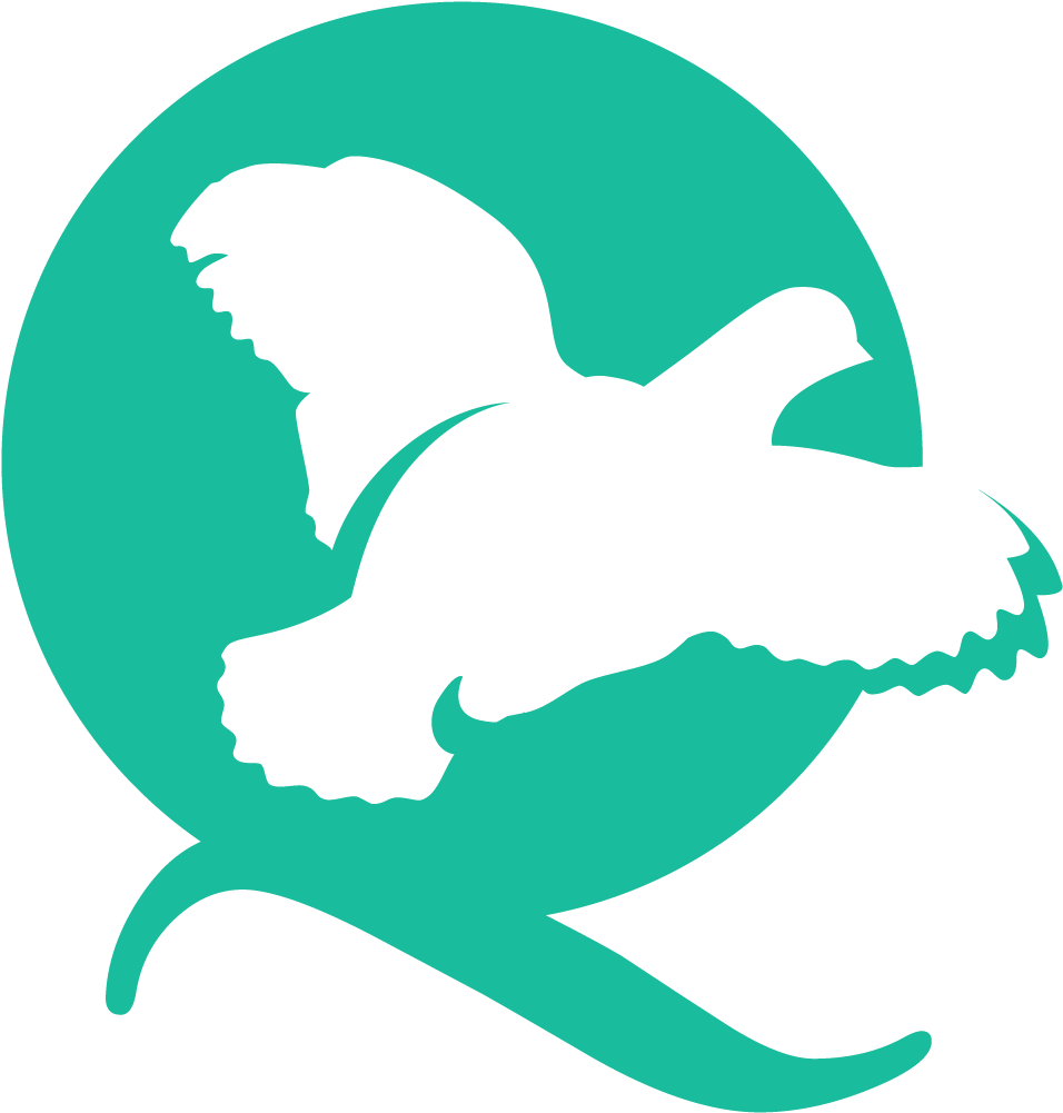 Quail Creek Bank Q Logo - Quail Creek Bank Logo Clipart (987x1034), Png Download