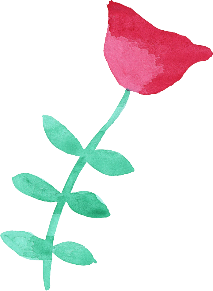 Watercolor Flower Clipart Transparent Background Picture - Watercolor Flower Transparent Background - Png Download (695x950), Png Download