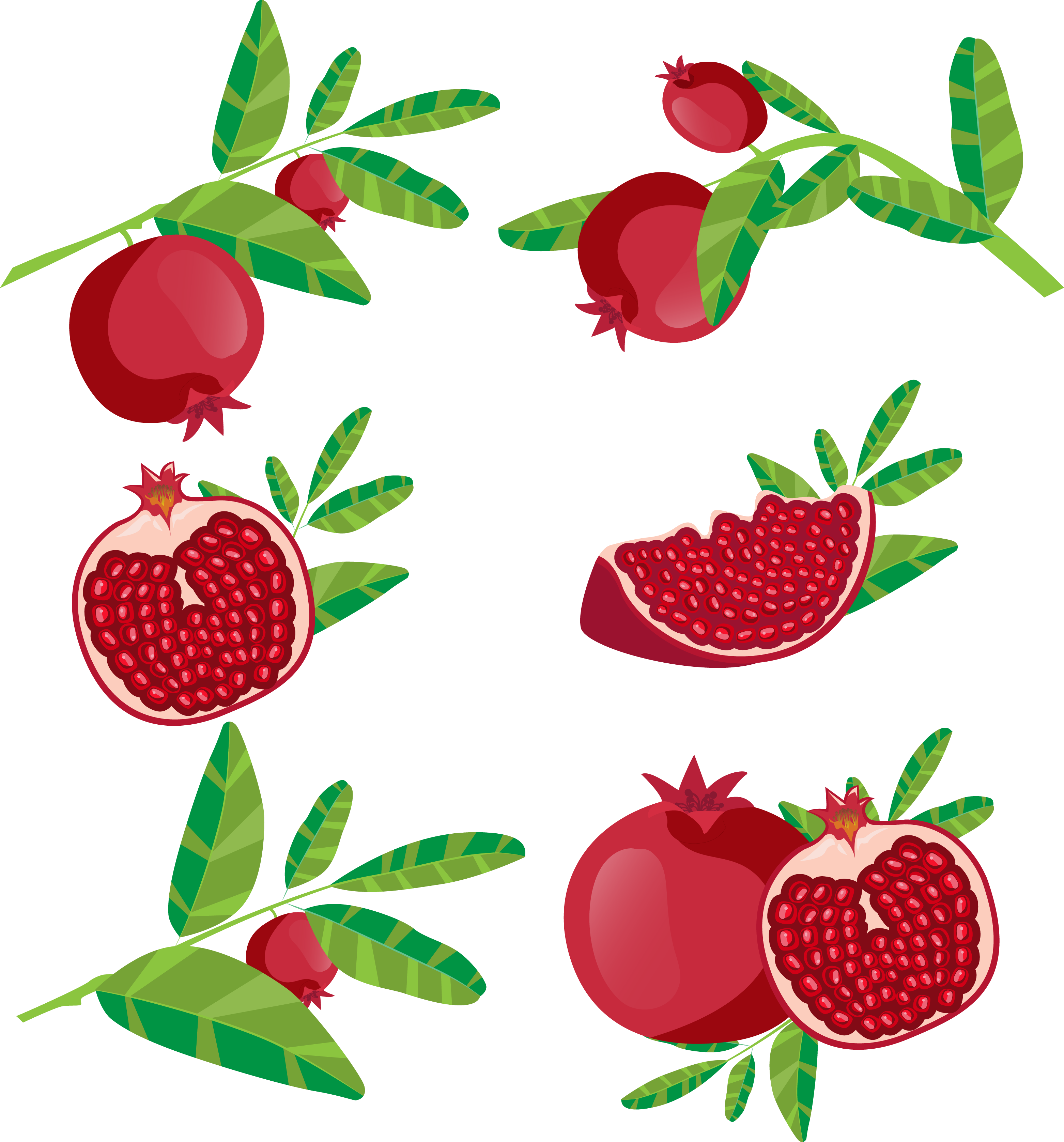 Pomegranate Clipart Branch - Delima Vector - Png Download (3123x3352), Png Download