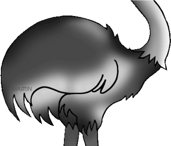 Emu Clip Art - Png Download (640x480), Png Download
