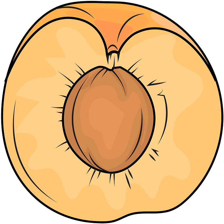 Cut Apricot Clipart - Circle - Png Download (787x800), Png Download