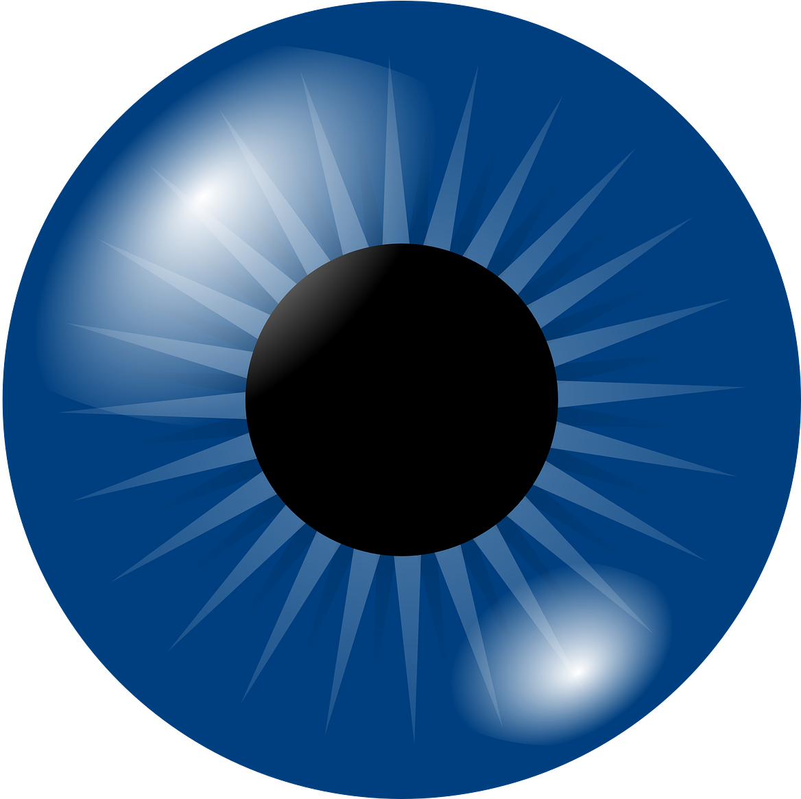 Transparent Png Eye - Blue Eye Clip Art (1168x1165), Png Download