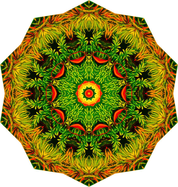 Plant,leaf,symmetry - Football Cookie Cake Ideas Clipart (713x750), Png Download